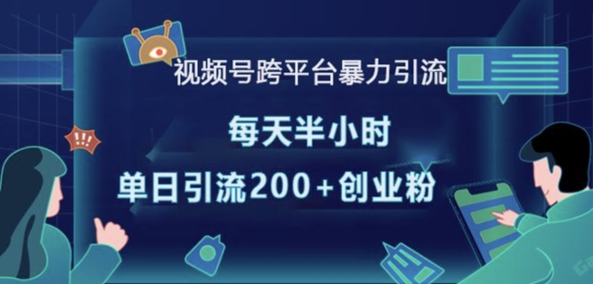 视频号跨平台暴力引流,每天半小时,单日引流200+精准创业粉-淘金日记