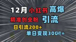 小红书一张图片“引爆”创业粉,单日+200+精准创业粉 可筛选付费意识创业粉【揭秘】-淘金日记