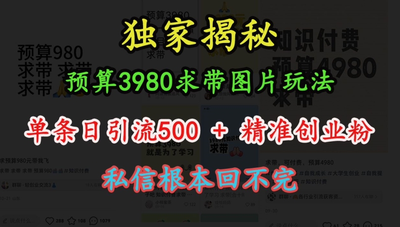 预算3980求带 图片玩法,单条日引流500+精准创业粉,私信根本回不完-淘金日记