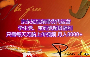 京东短视频带货代运营，学生党、宝妈党超级福利，只需每天无脑上传视频，月入8000+【仅揭秘】-淘金日记