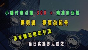 小额付费引爆 300 + 精准创业粉，零剪辑、零复杂起号，话术撬动被动引流，当日实操即见成效-淘金日记