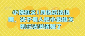 小说推文1月份玩法指南,终于有人把小说推文的玩法讲清楚了!-淘金日记