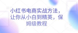 小红书电商实战方法,让你从小白到精英,保姆级教程-淘金日记