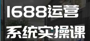 1688高阶运营系统实操课,快速掌握1688店铺运营的核心玩法-淘金日记