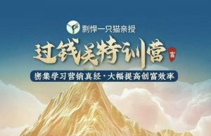 剽悍一只猫-过钱关特训营,学习营销真经 大幅度提高创富效率-淘金日记