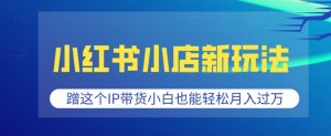 小红书小店新玩法,蹭这个IP带货,小白也能轻松月入过W【揭秘】-淘金日记
