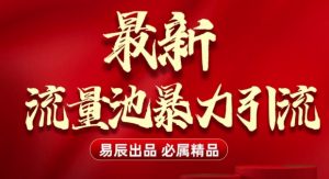 最新“流量池”无门槛暴力引流(全网首发)日引500+-淘金日记