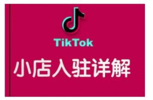 TikTok跨境小店运营全攻略,帮助你独立运营TK跨境小店的能力,实现销量增长-淘金日记