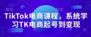 TikTok电商课程，​系统学习TK电商起号到变现-淘金日记