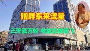 蹭胖东来流量,三天涨万粉,收益直接起飞-淘金日记