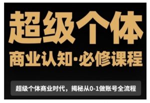 超级个体商业认知觉醒视频课,商业认知·必修课程揭秘从0-1账号全流程-淘金日记