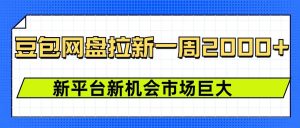 豆包网盘拉新,一周2k,新平台新机会-淘金日记