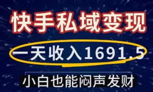 一天收入1691.5,快手私域变现,小白也能闷声发财-淘金日记