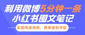 小红书利用微博5分钟一条图文笔记，实现快速涨粉，商单接到手软-淘金日记