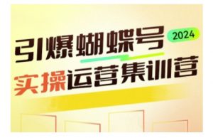引爆蝴蝶号实操运营,助力你深度掌握蝴蝶号运营,实现高效实操,开启流量变现之路-淘金日记
