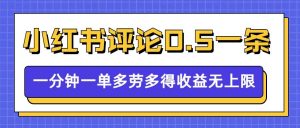 小红书留言评论，0.5元1条，一分钟一单，多劳多得，收益无上限-淘金日记