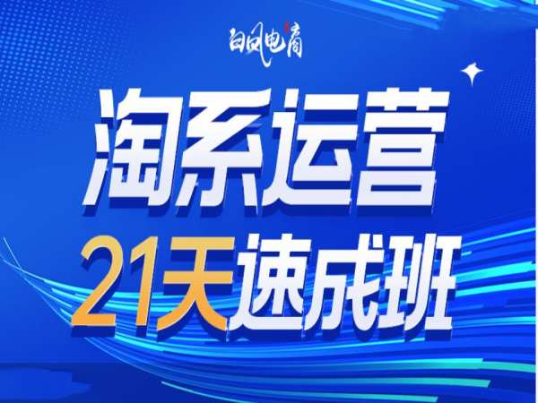 淘系运营21天速成班35期,年前最后一波和2025方向-淘金日记
