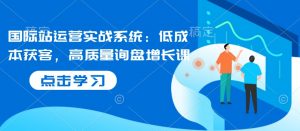 国际站运营实战系统:低成本获客,高质量询盘增长课-淘金日记