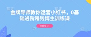 金牌导师教你运营小红书,0基础进阶赚钱博主训练课-淘金日记