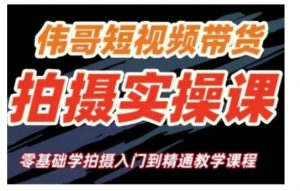 短视频带货拍摄实操课，零基础学拍摄入门到精通教学-淘金日记