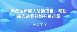 网盘拉新新人陪跑项目,帮助新人从零开始开单起量-淘金日记