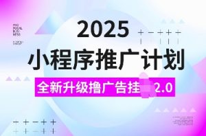 2025小程序推广计划,全新升级撸广告挂JI2.0玩法,日入多张,小白可做【揭秘】-淘金日记