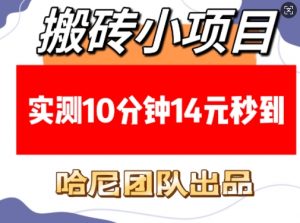 搬砖小项目,实测10分钟14元秒到,每天稳定几张(赠送必看稳定)-淘金日记