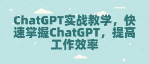 ChatGPT实战教学,快速掌握ChatGPT,提高工作效率-淘金日记