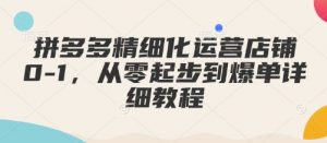 拼多多精细化运营店铺0-1,从零起步到爆单详细教程-淘金日记