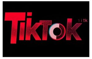 TikTok ads投流秘籍,涵盖tiktok整体投放思路,教你搭建测试计划-淘金日记