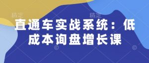直通车实战系统：低成本询盘增长课，让个人通过技能实现升职加薪，让企业低成本获客，订单源源不断-淘金日记