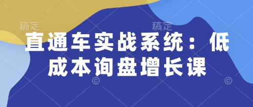 直通车实战系统：低成本询盘增长课，让个人通过技能实现升职加薪，让企业低成本获客，订单源源不断-淘金日记