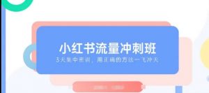 小红书流量冲刺班2025,最懂小红书的女人,快速教你2025年入局小红书-淘金日记
