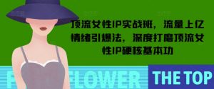 顶流女性IP实战班,流量上亿情绪引爆法,深度打磨顶流女性IP硬核基本功-淘金日记