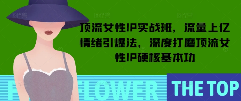 顶流女性IP实战班,流量上亿情绪引爆法,深度打磨顶流女性IP硬核基本功-淘金日记