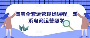 淘宝全套运营现场课程,淘系电商运营必学-淘金日记