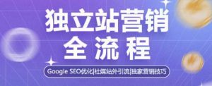 独立站营销全流程，Google SEO优化，社媒站外引流，独家营销技巧-淘金日记