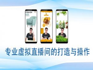 个人虚拟直播间的搭建与操作,专业虚拟直播间的打造与操作-淘金日记
