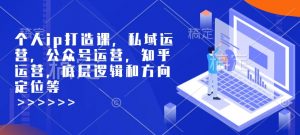 个人ip打造课,私域运营,公众号运营,知乎运营,底层逻辑和方向定位等-淘金日记