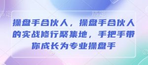 操盘手合伙人,操盘手合伙人的实战修行聚集地,手把手带你成长为专业操盘手-淘金日记