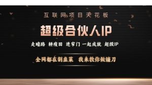 互联网项目天花板，超级合伙人IP，全网都在割韭菜，我来教你做镰刀【仅揭秘】-淘金日记