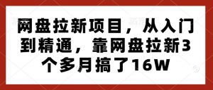 网盘拉新项目,从入门到精通,靠网盘拉新3个多月搞了16W-淘金日记