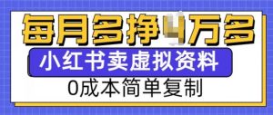 小红书虚拟资料项目，0成本简单复制，每个月多挣1W【揭秘】-淘金日记