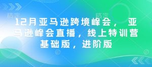 12月亚马逊跨境峰会, 亚马逊峰会直播,线上特训营基础版,进阶版-淘金日记