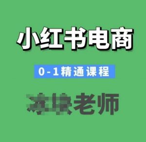 小红书电商0-1精通课程,小红书开店必学课程-淘金日记