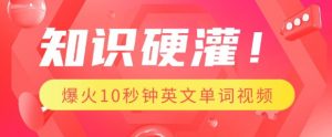 知识硬灌,1分钟教会你,利用AI制作爆火10秒钟记一个英文单词视频-淘金日记