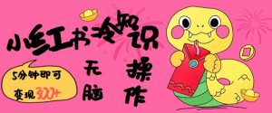 小红书冷知识账号,无脑复制粘贴,5分钟即可变现3张-淘金日记