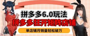 拼多多虚拟商品暴利6.0玩法，轻松实现月入过W-淘金日记