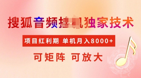 全网首发搜狐音频挂JI独家技术,项目红利期,可矩阵可放大,稳定月入8k【揭秘】-淘金日记