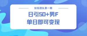 男粉引流新方法不违规，当日即可变现-淘金日记